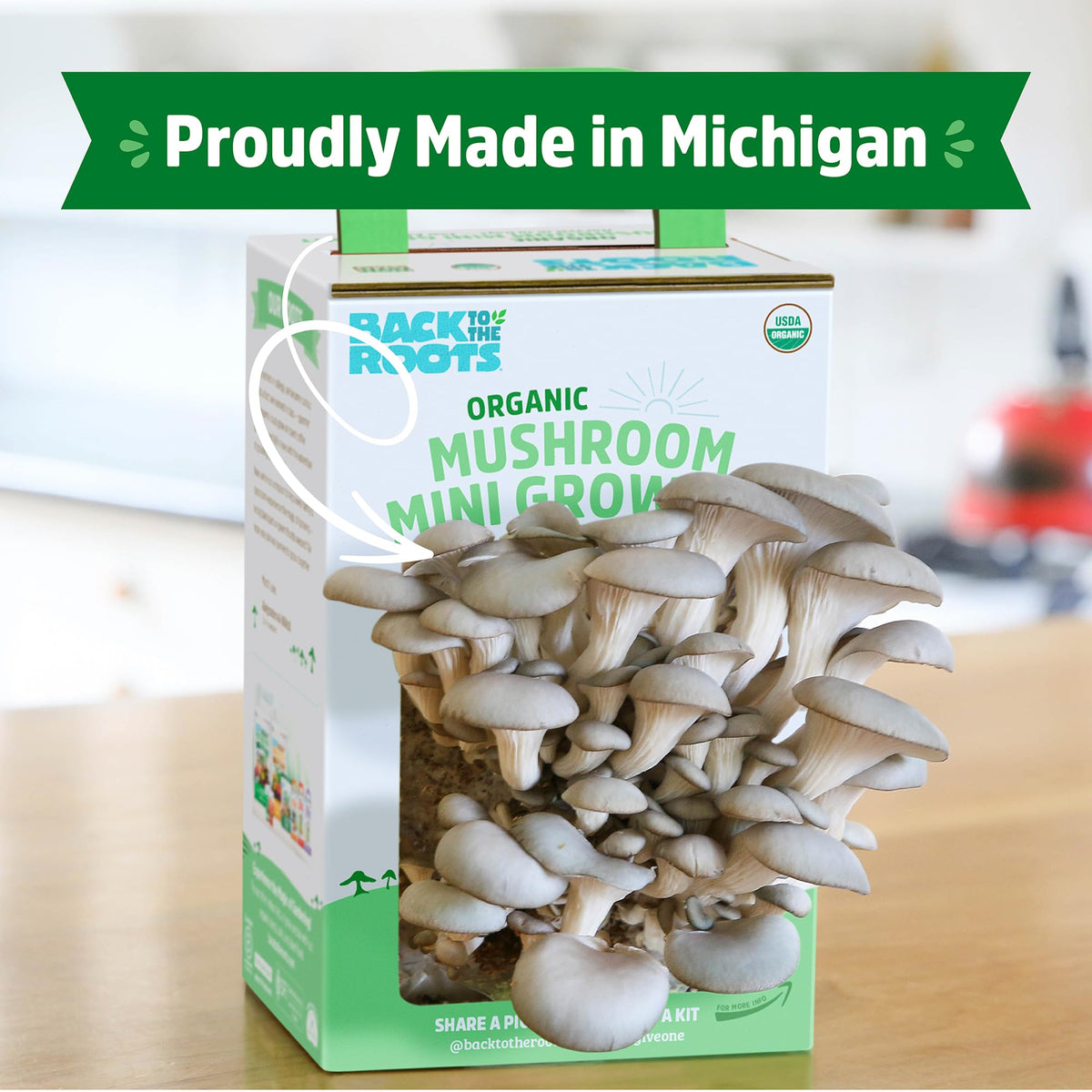 Back to the Roots compact-indoor-farm fits on a windowsill, yielding fresh mushrooms.