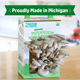 Back to the Roots compact-indoor-farm fits on a windowsill, yielding fresh mushrooms.