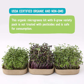 Back to the Roots green-thumb support provides easy guidance for first-time microgreen gardeners.