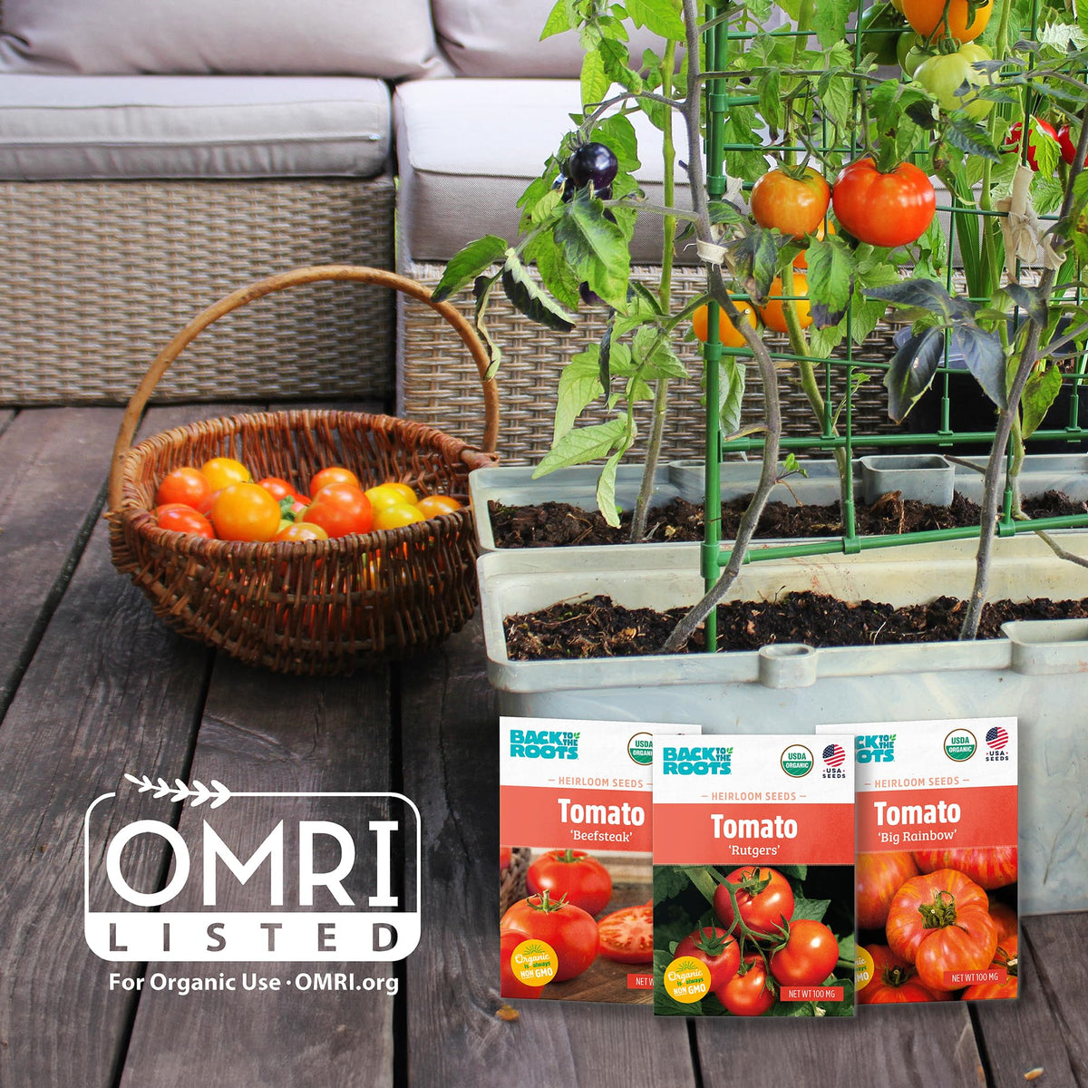Back to the Roots Grow One Give One program donates a classroom kit.