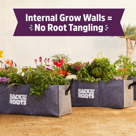 Back to the Roots grow walls inside bed prevent root tangling