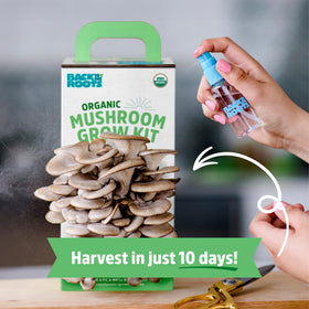 Back to the Roots harvest-ready mushrooms closeup highlights texture and aroma
