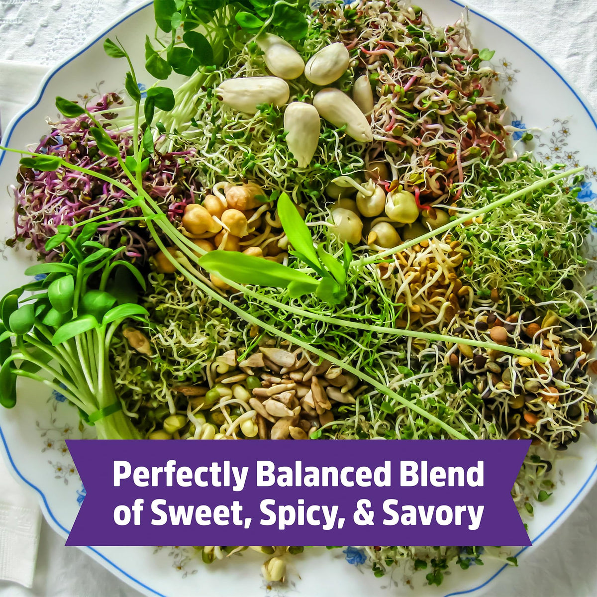 Back to the Roots harvest-ready sprouts on a plate for versatile meals