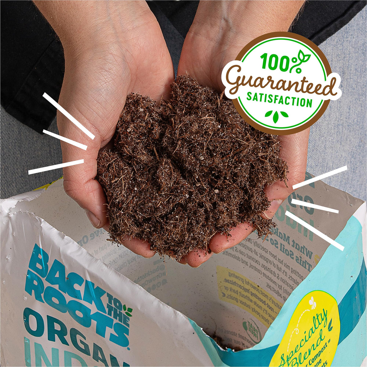 Back to the Roots setup idea for healthy indoor plant growth
