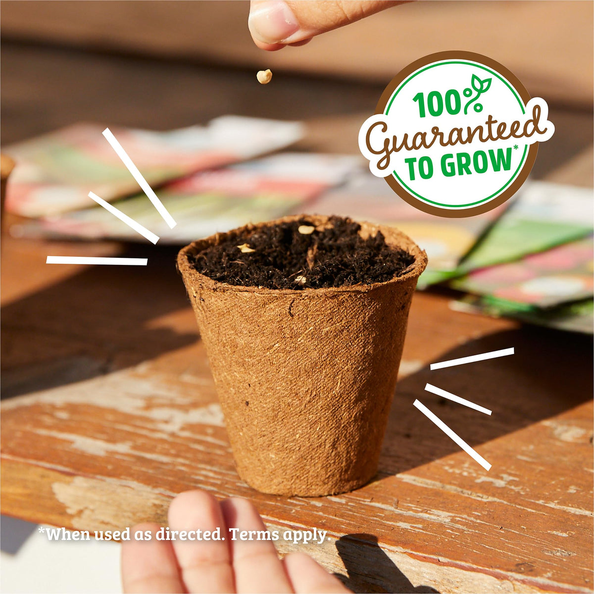 Back to the Roots indoor garden setup for windowsill growers