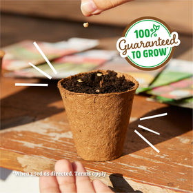Back to the Roots indoor garden setup for windowsill growers