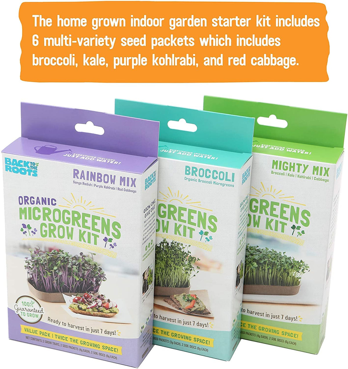 Indoor garden setup from Back to the Roots enables quick harvest and flavorful toppings.