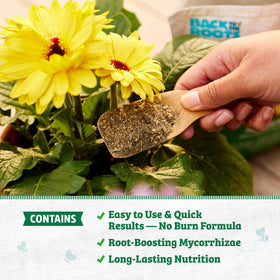 Back to the Roots mycorrhizae enhances root networks for better uptake