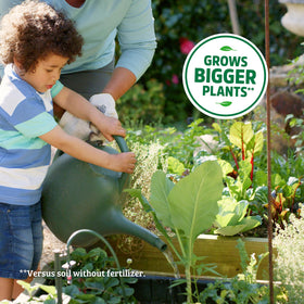 Back to the Roots rock phosphate minerals support hearty harvests