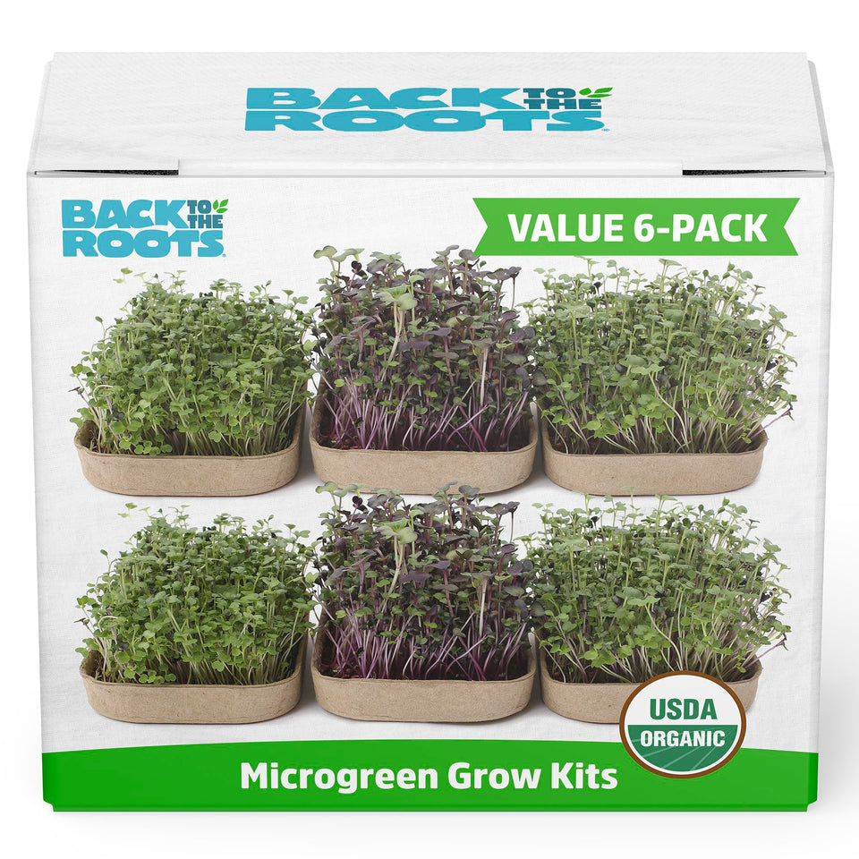 Back to the Roots microgreens kit with six varieties ready for indoor growing and salads.