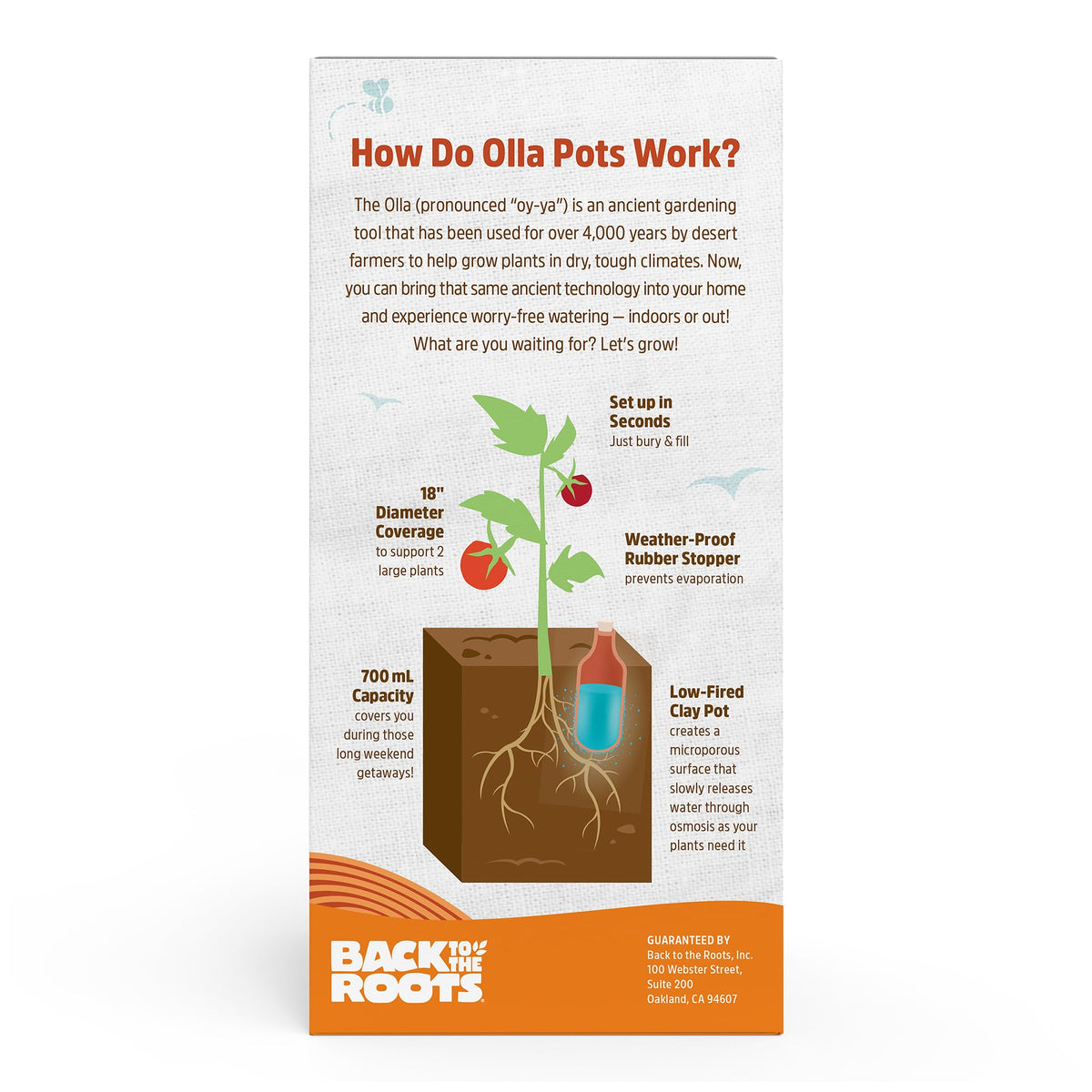 Back to the Roots Olla 700ml capacity ready for longer intervals between waterings.