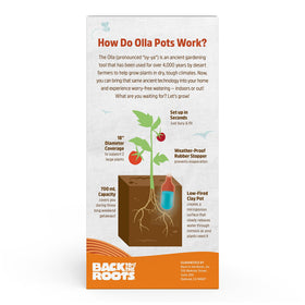 Back to the Roots Olla 700ml capacity ready for longer intervals between waterings.