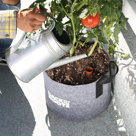 Back to the Roots Olla pot promotes Grow One Give One in gardening communities.