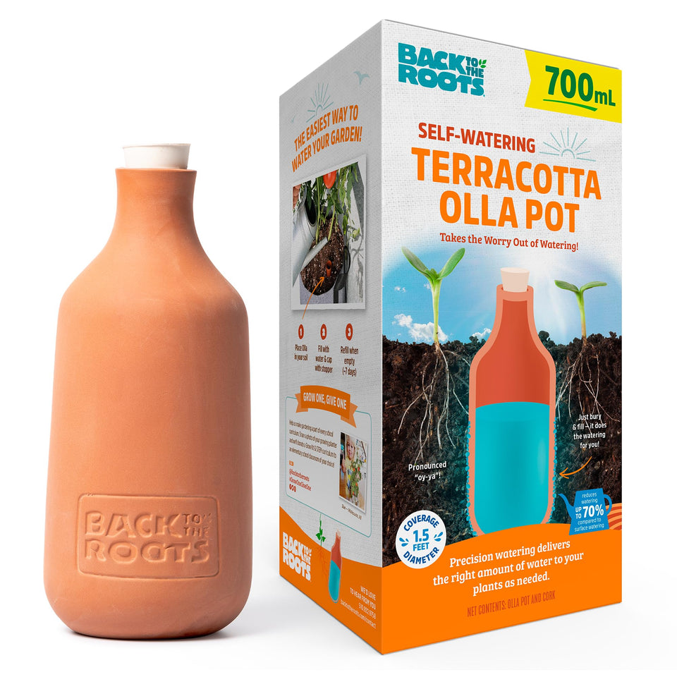 Back to the Roots Olla pot close-up shows terracotta texture for steady moisture.