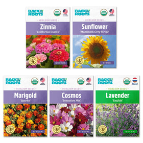 Back to the Roots organic seeds variety pack on a wooden table, ideal for starting a small garden.