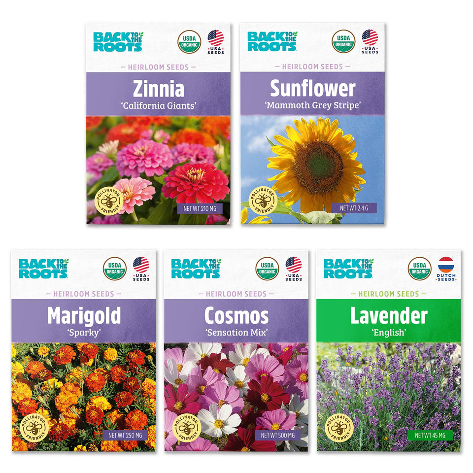 Back to the Roots organic seeds variety pack on a wooden table, ideal for starting a small garden.