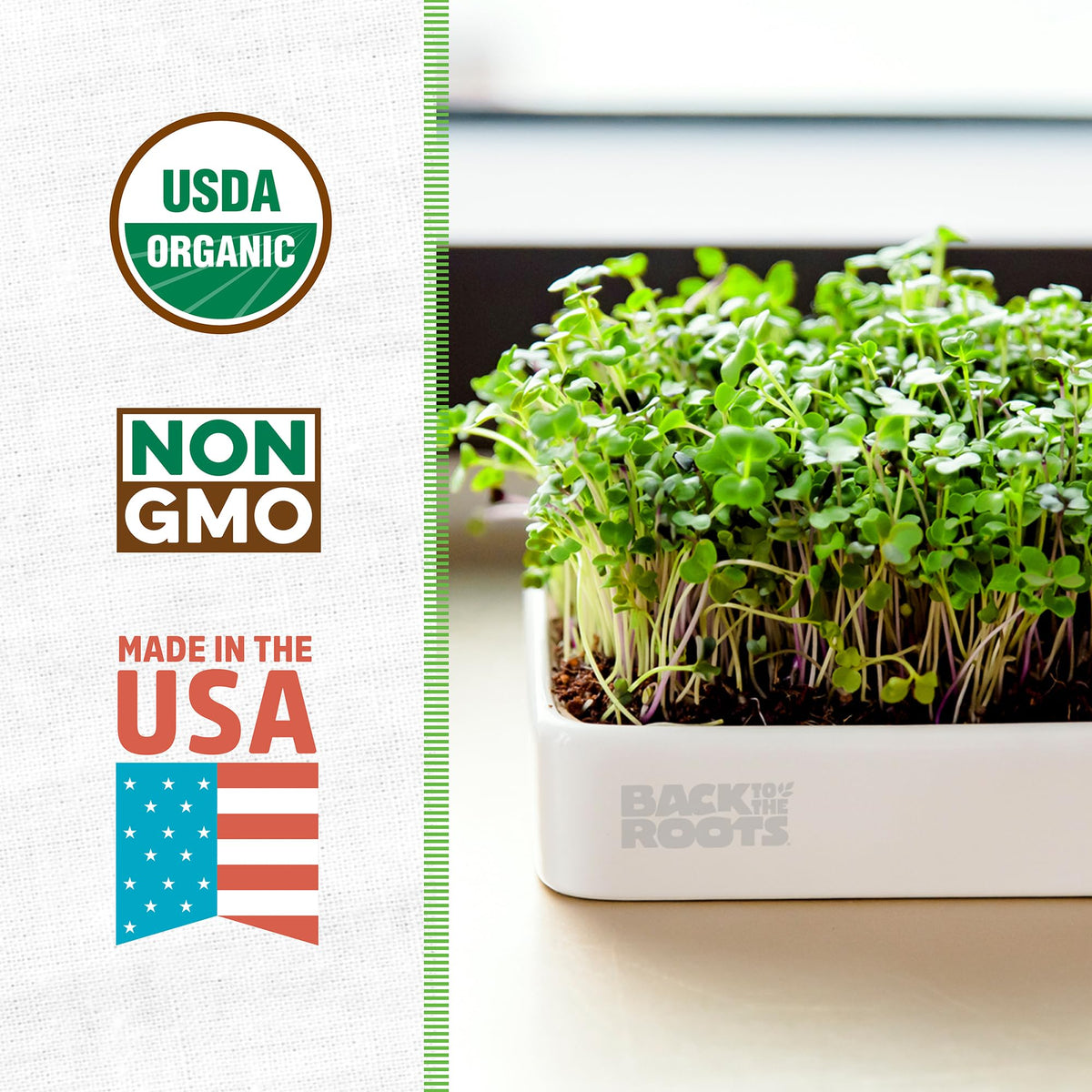 Back to the Roots microgreens kit with expandable soil for easy indoor cultivation