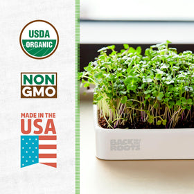 Back to the Roots microgreens kit with expandable soil for easy indoor cultivation