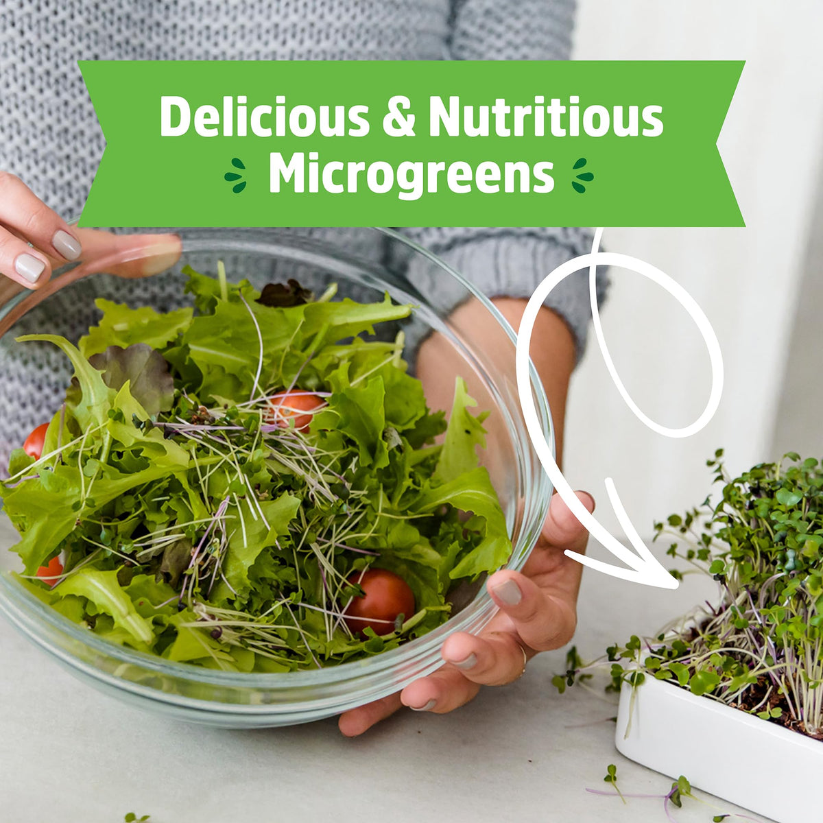 Back to the Roots harvest-ready microgreens ready to add to meals