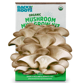 Back to the Roots organic mushroom grow kit box ready for easy, all-year indoor harvest.