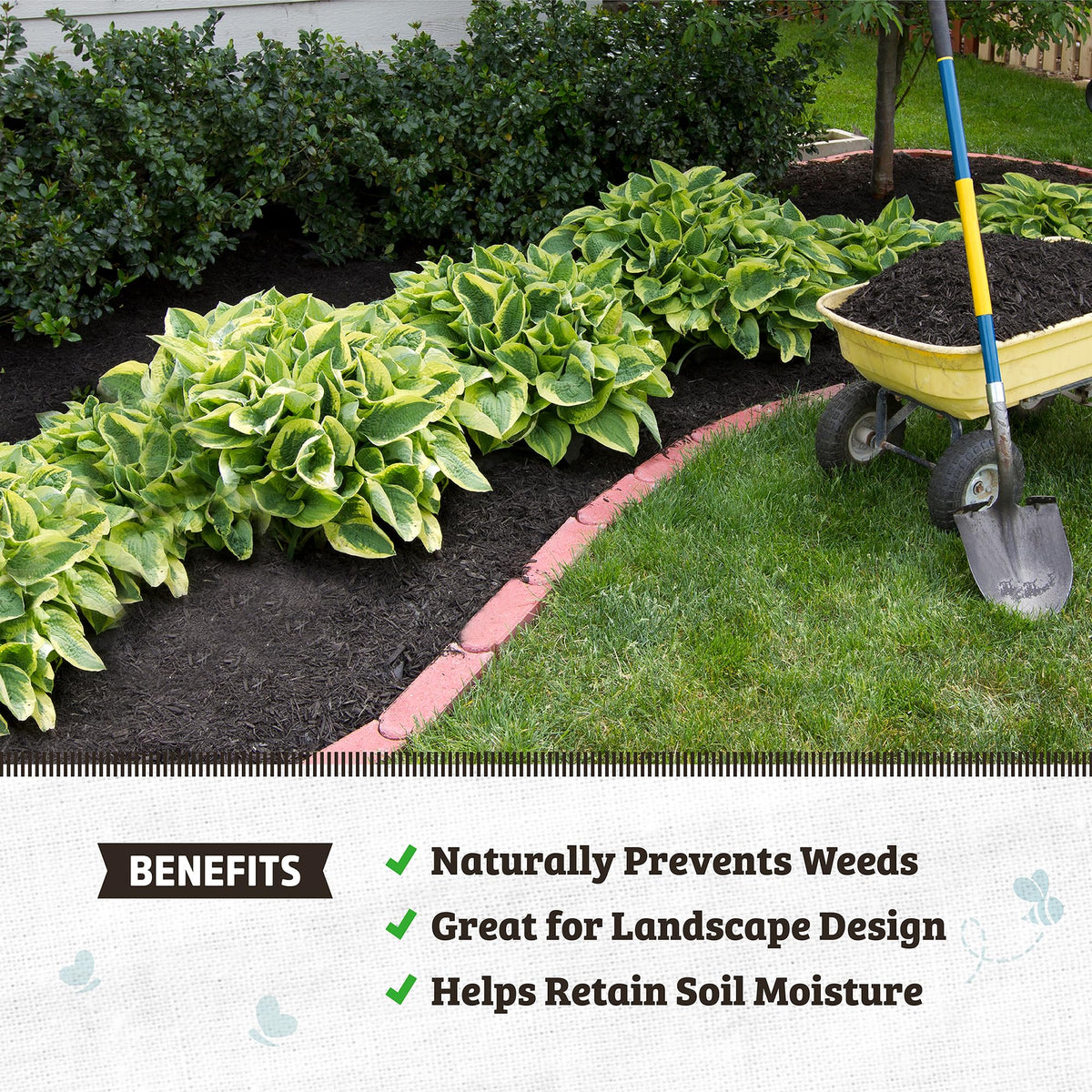 Back to the Roots Organic Premium Mulch natural ingredients emphasize eco-conscious gardening.