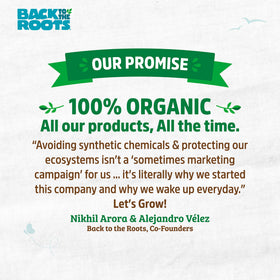 Back to the Roots Organic Premium Mulch raised-bed application shows robust growth potential.