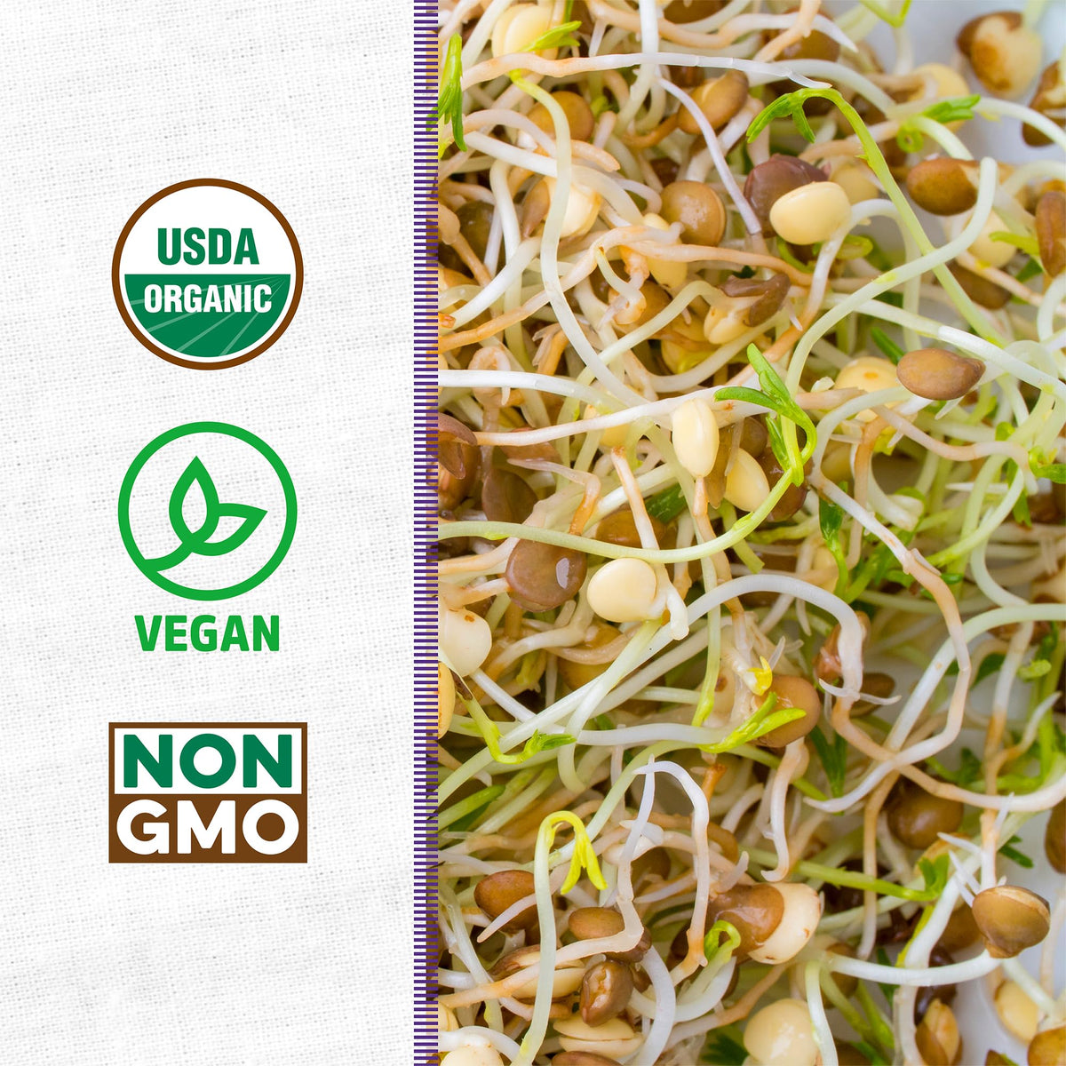 Back to the Roots organic seed bag 1lb for easy sprouting and fresh salads