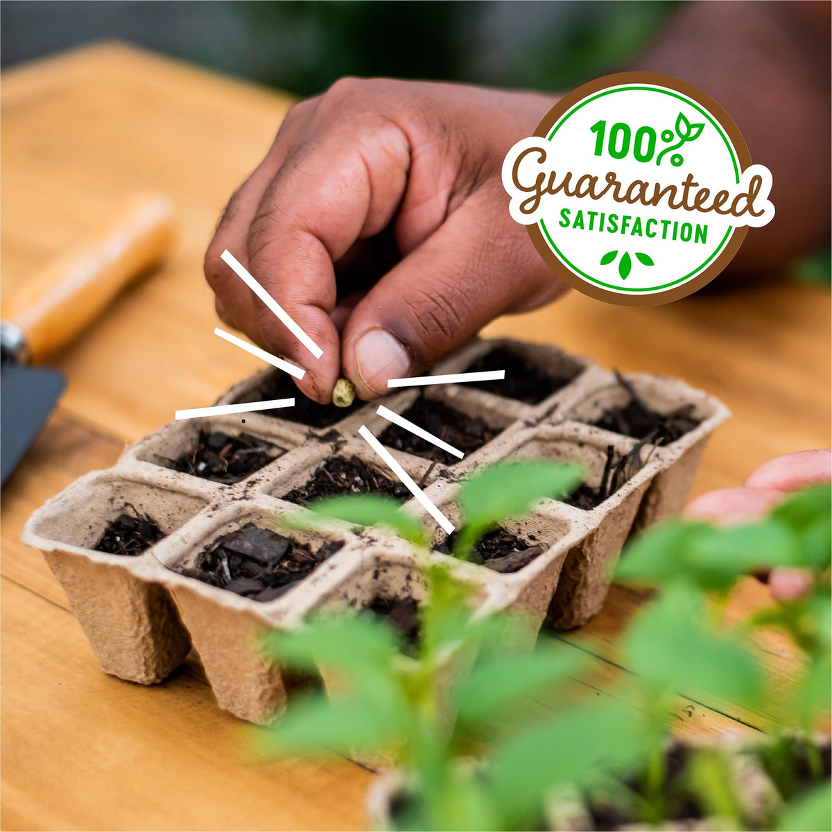 Back to the Roots seed starter trays ready for standard garden kits.