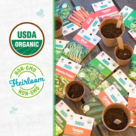 Back to the Roots organic seeds herbs for fresh harvests