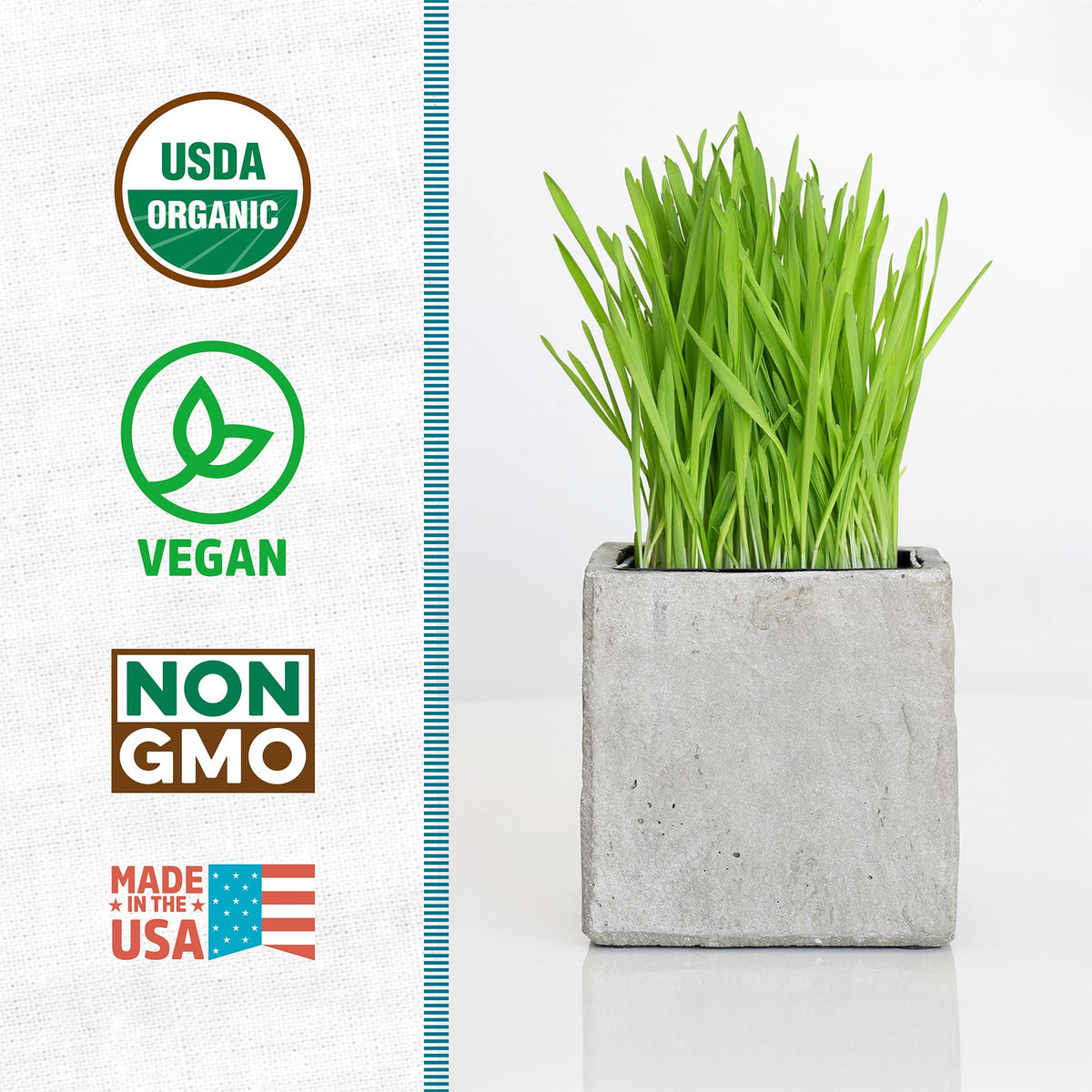 Back to the Roots organic wheatgrass seeds enable quick indoor growth.