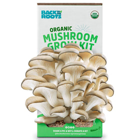 Back to the Roots oyster mushroom grow kit box ready for indoor cultivation and fresh harvests