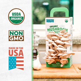 Back to the Roots oyster mushroom grow kit mister in use supports simple daily care