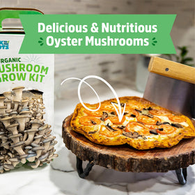 Back to the Roots packaging shown is gift-ready and eco-conscious