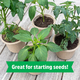 Back to the Roots peat-free, OMRI-listed seed starting block for organic growing.