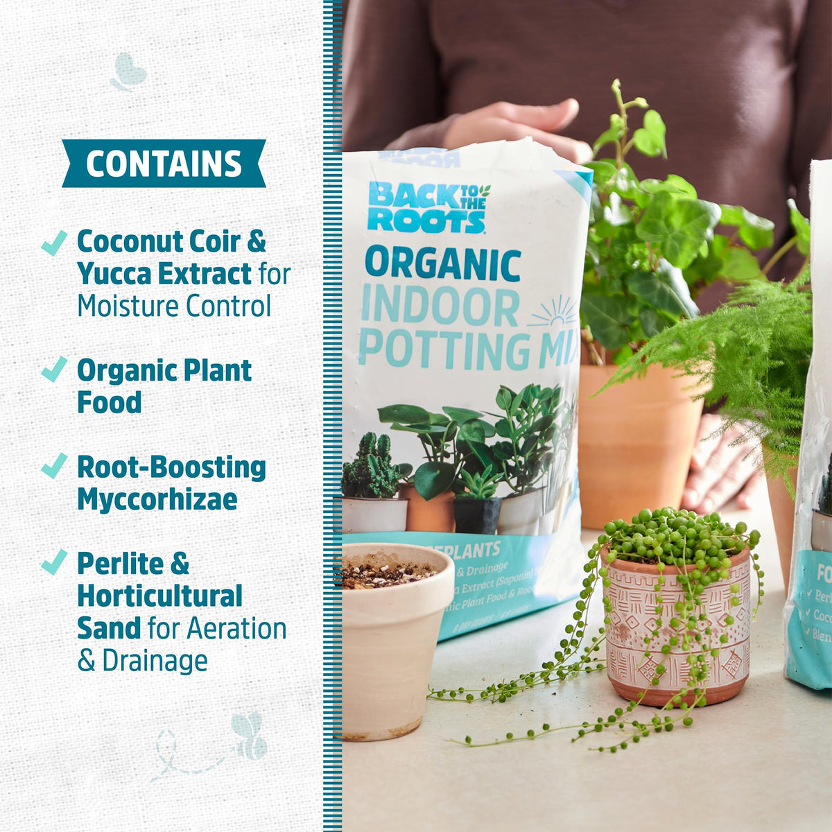 Back to the Roots peat-free potting mix for sustainable gardening