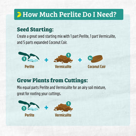 Back to the Roots grow kit donation promo highlights the Grow One Give One cause.