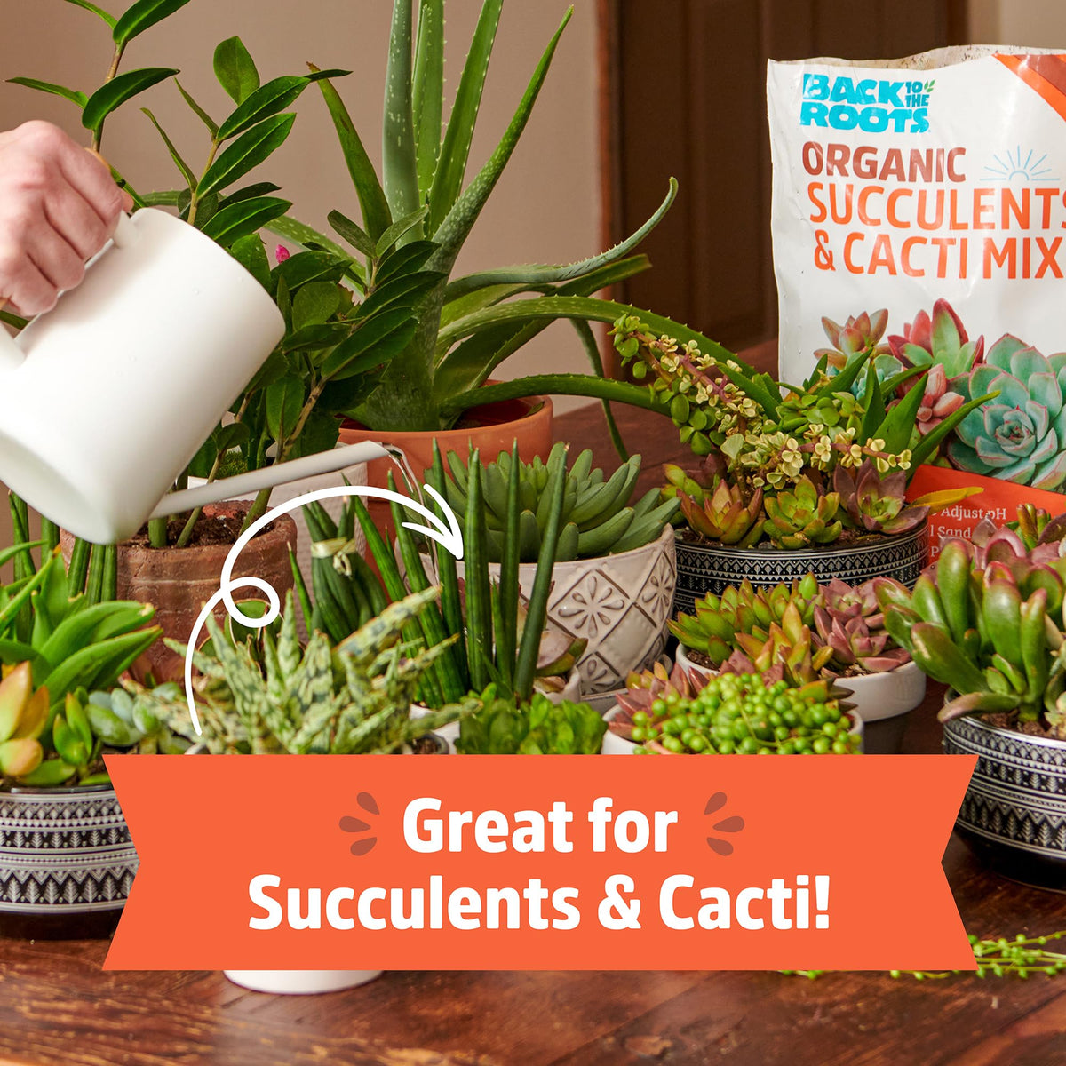 Back to the Roots perlite and sand enable rapid drainage