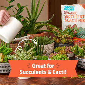 Back to the Roots perlite and sand enable rapid drainage