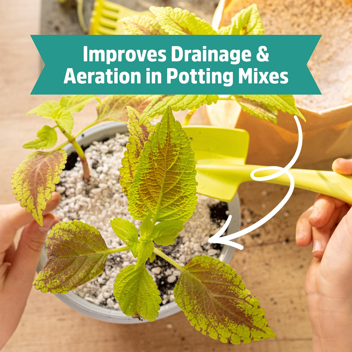 Back to the Roots perlite for seed starting helps create a balanced, well-draining mix.