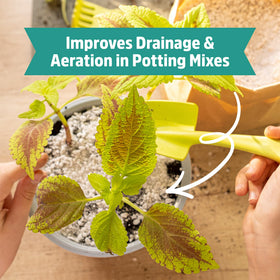 Back to the Roots perlite for seed starting helps create a balanced, well-draining mix.