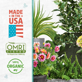 Back to the Roots perlite demonstrates improved soil drainage and root oxygen access.