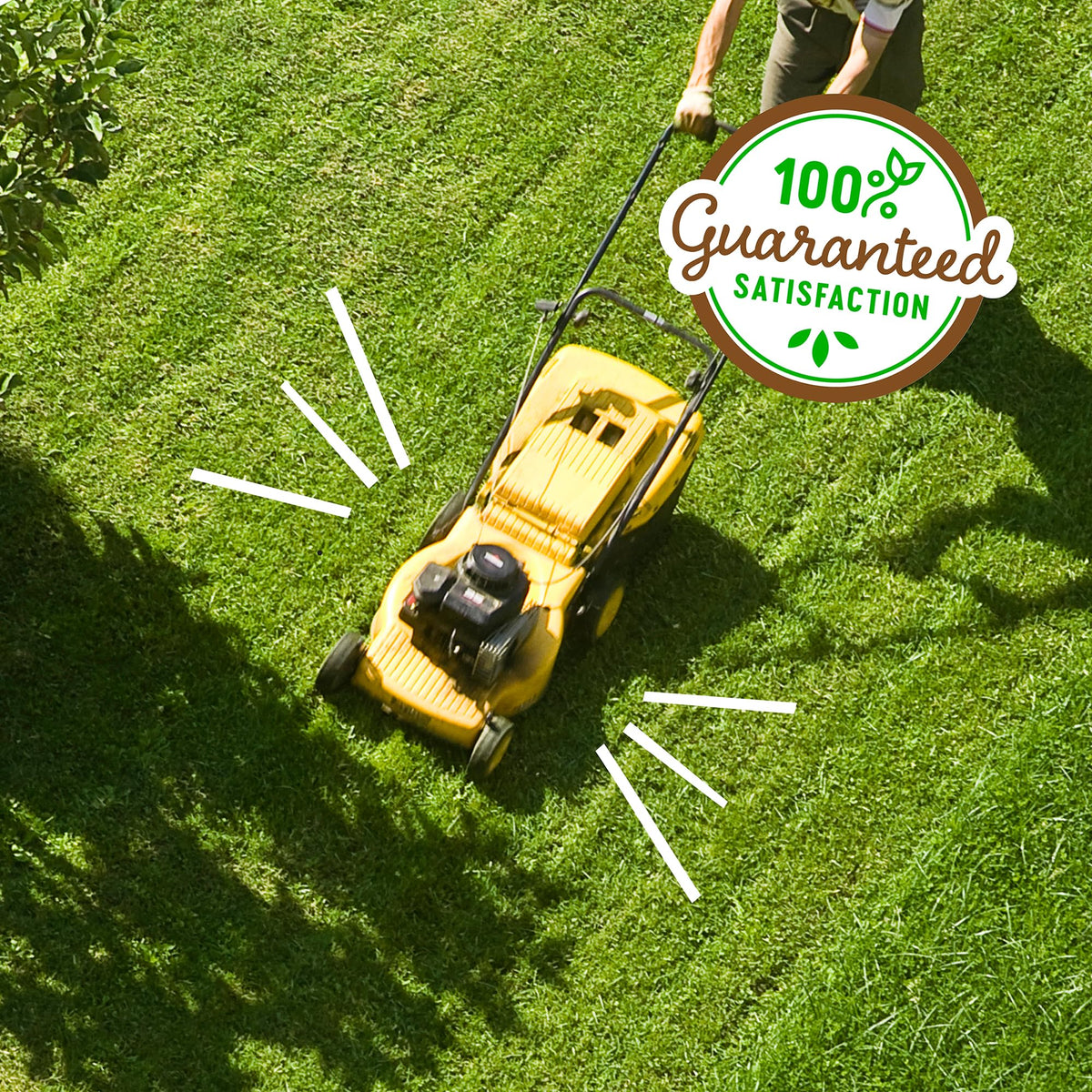 Back to the Roots pet-safe lawn care symbol with kids playing.