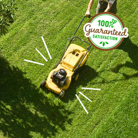 Back to the Roots pet-safe lawn care symbol with kids playing.