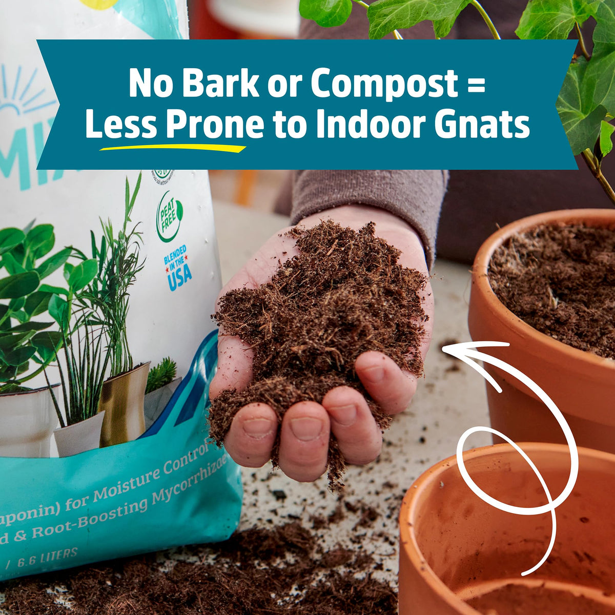 Back to the Roots pet-safe potting mix reduces pests and is family-friendly