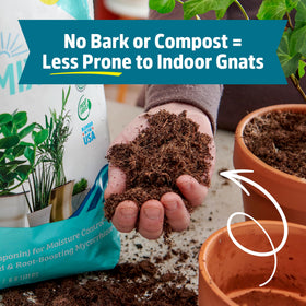 Back to the Roots pet-safe potting mix reduces pests and is family-friendly