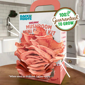 Instruction booklet included with the grow kit guiding care