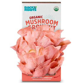 Back to the Roots pink mushroom grow kit package enables easy indoor farming.