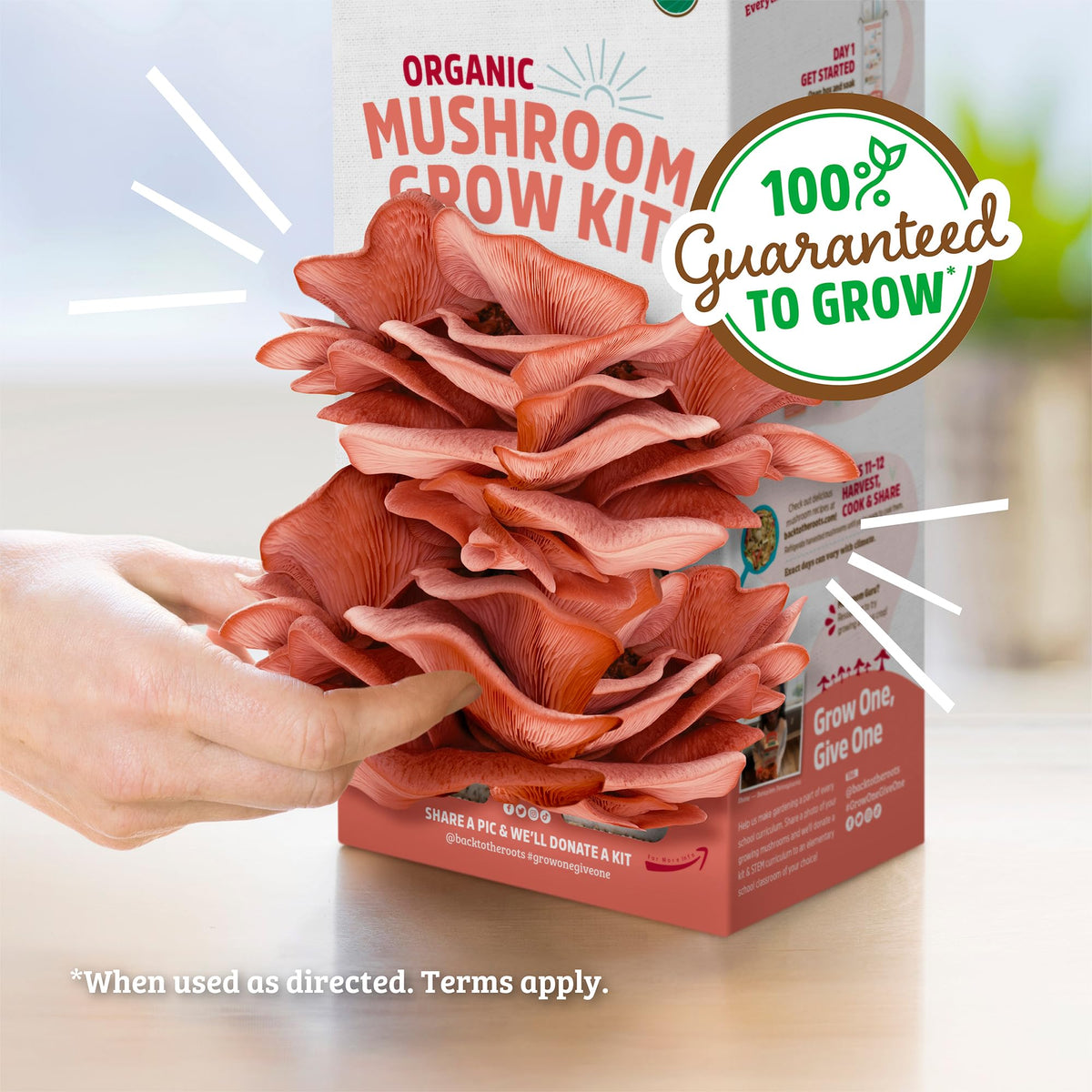Back to the Roots pink mushrooms yield 3–4 servings per crop.