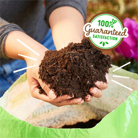 Back to the Roots USA-made 2-pack of peat-free potting mix