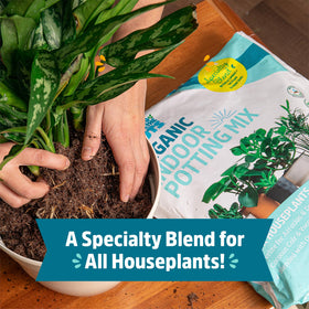 Back to the Roots root-boosting mycorrhizae supports stronger root growth